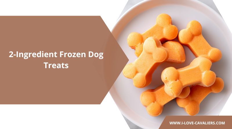 Easy 2-Ingredient Frozen Dog Treats: Healthy & Quick Homemade Recipes